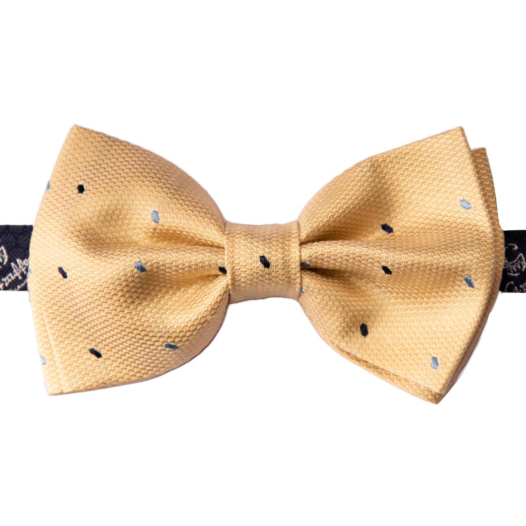 Papillon Uomo di Seta Color Champagne Fantasia Blu Celeste Made in Italy Graffeo Cravatte